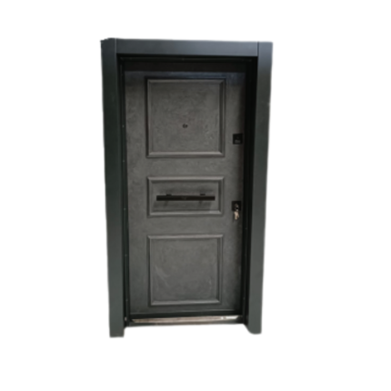 steel pivot door